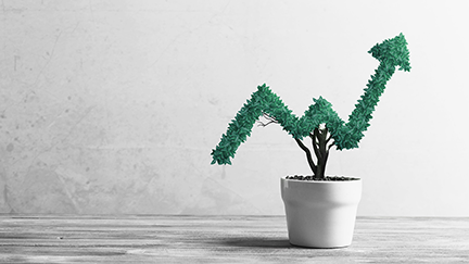 Global Wealth expansion